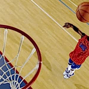 TARAFLEX SPORT M COMFORT