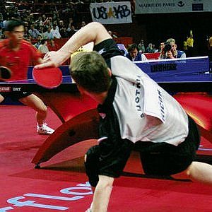 TARAFLEX TABLE TENNIS