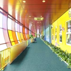 TARKETT LINOLYUM Veneto xf²™ Bfl (2.5 mm) 